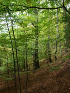 Fotogalerie - Piemont Walliser Alpen