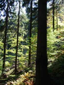 Fotogalerie - Piemont Walliser Alpen