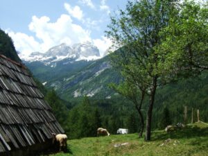 Fotogalerie - Piemont Walliser Alpen