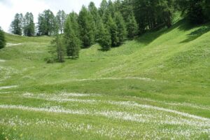 Fotogalerie - Piemont Walliser Alpen