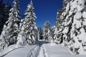 Fotogalerie - Piemont Walliser Alpen