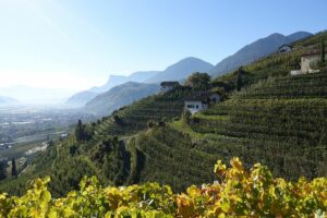 Fotogalerie - Piemont Walliser Alpen