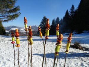 Fotogalerie - Piemont Walliser Alpen