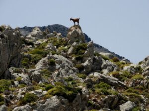 Fotogalerie - Südtirol Dolomiten Lungiarü