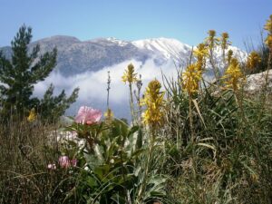 Fotogalerie - Piemont Walliser Alpen