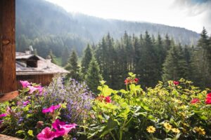 Fotogalerie - Italien Piemont Walliser Alpen