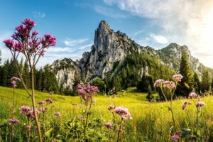 Fotogalerie - Piemont Walliser Alpen