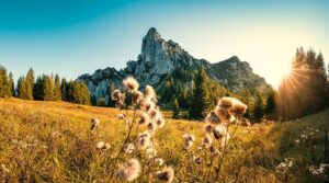 Fotogalerie - Piemont Walliser Alpen