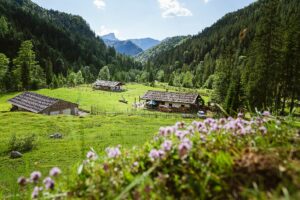 Fotogalerie - Piemont Walliser Alpen