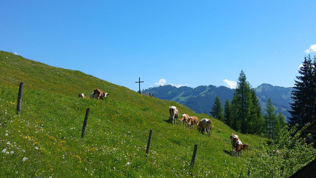 Österreich Grossarltal – Gipfelkreuz bei Alm – Sento Wanderreisen