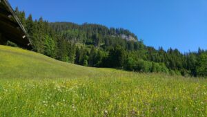 Fotogalerie - Italien Piemont Walliser Alpen