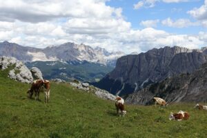 Fotogalerie - Italien Piemont Walliser Alpen