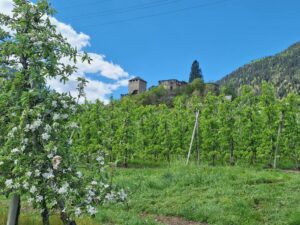 Fotogalerie - Piemont Walliser Alpen