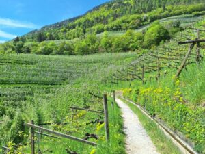 Fotogalerie - Piemont Walliser Alpen