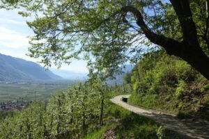 Fotogalerie - Piemont Walliser Alpen