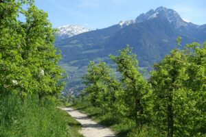 Fotogalerie - Piemont Walliser Alpen