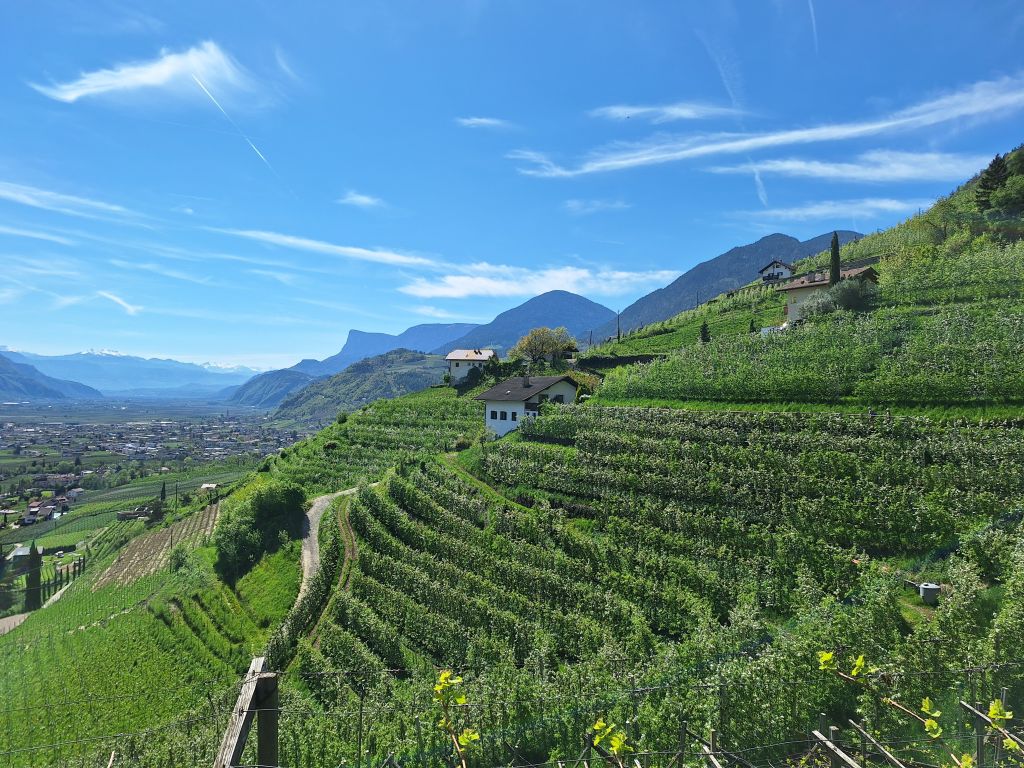 Südtirol Meran Frühling Marlinger Waalweg – Sento Wanderreisen