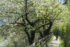 Fotogalerie - Piemont Walliser Alpen